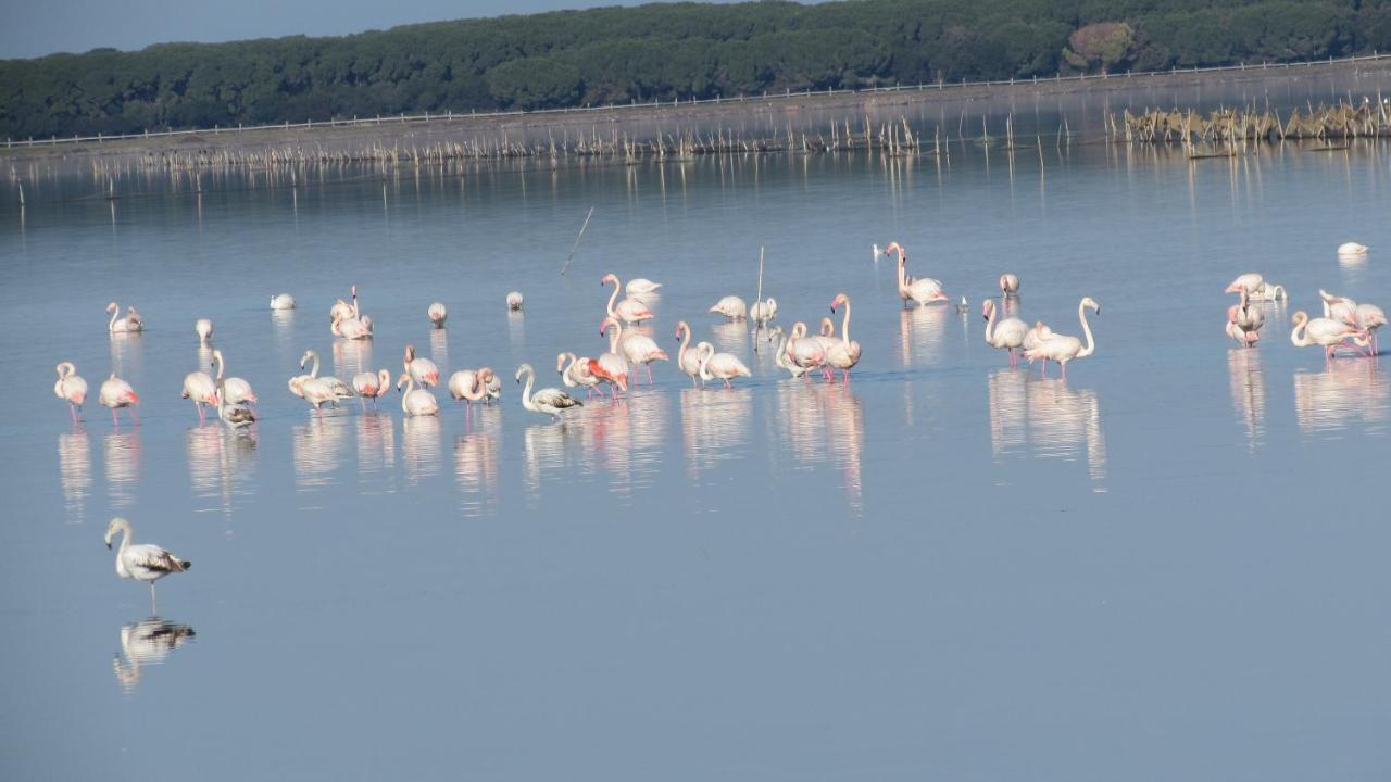 L'Isola Aer B&B Lesina Εξωτερικό φωτογραφία