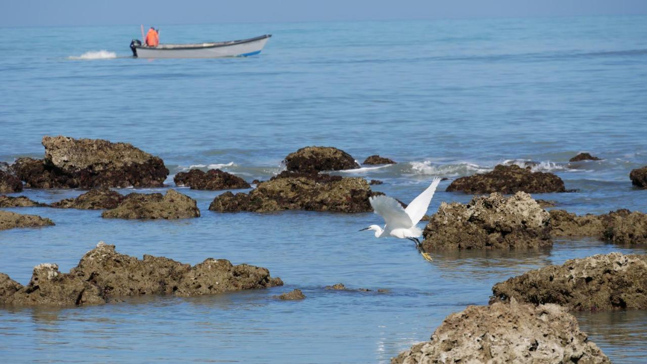 L'Isola Aer B&B Lesina Εξωτερικό φωτογραφία